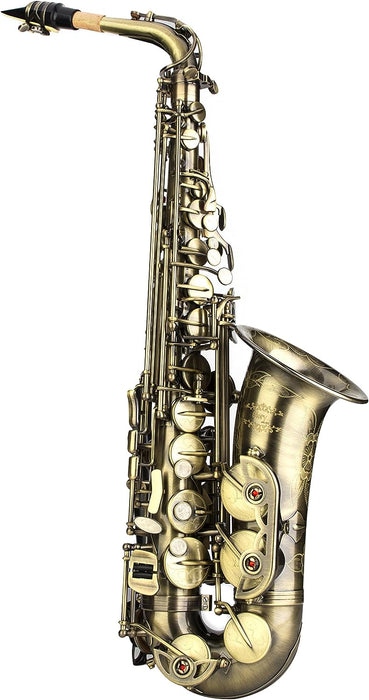 E Flat Alto Saxophone with Reeds, Case, Care Kit and Neck Strap