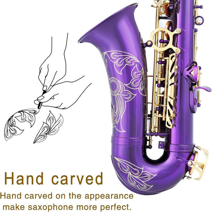 E Flat Alto Saxophone with Mouthpiece, Gloves, Mouthpiece Cushion Pads, Case, Care Kit and Neck Strap