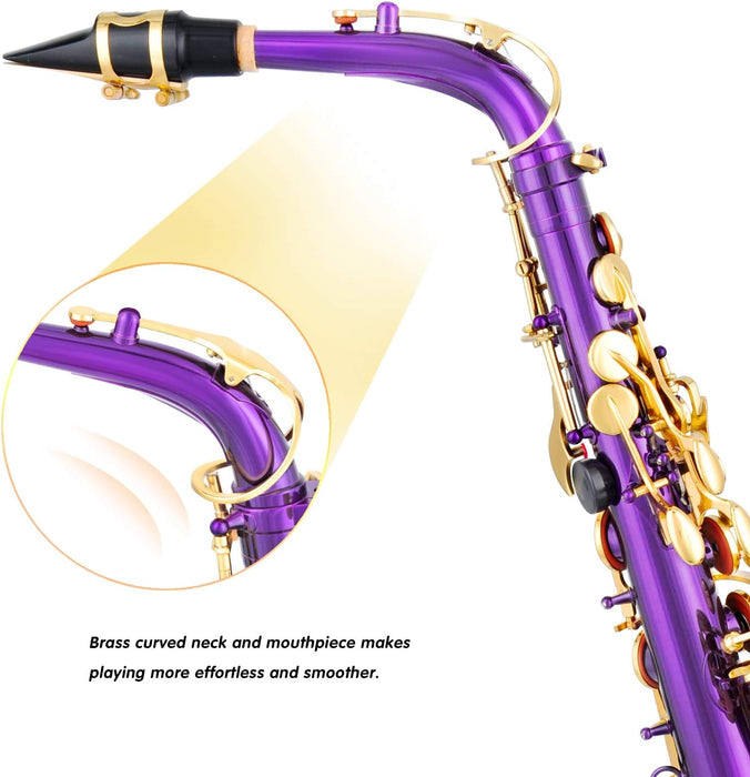 E Flat Alto Saxophone with Mouthpiece, Gloves, Mouthpiece Cushion Pads, Case, Care Kit and Neck Strap