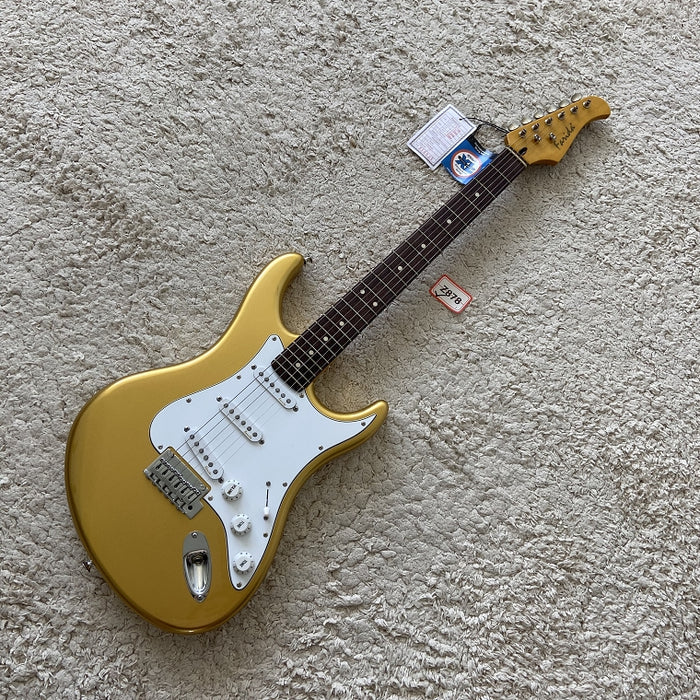 Electric Guitar on Sale (070)