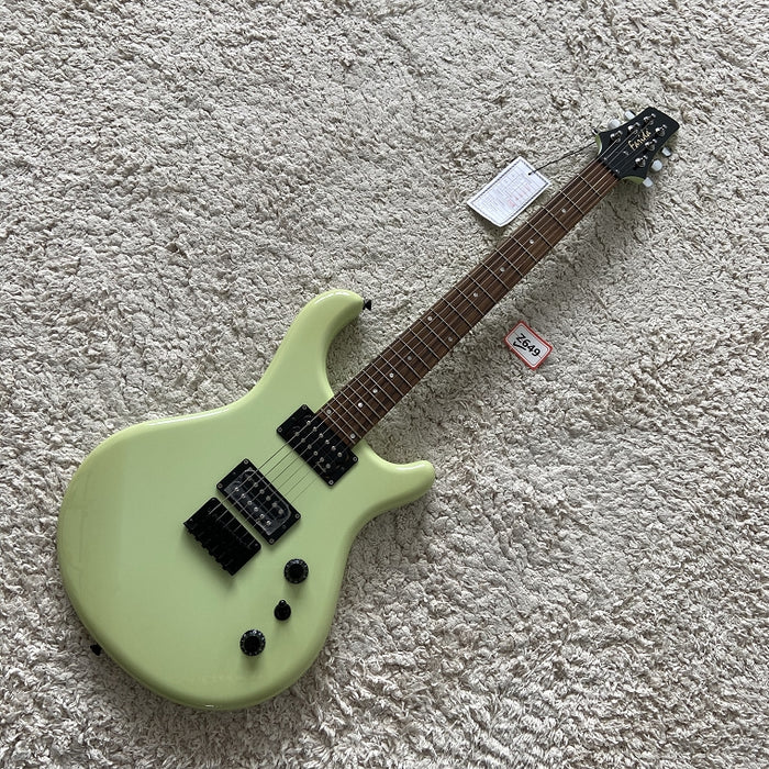 Electric Guitar on Sale (055)