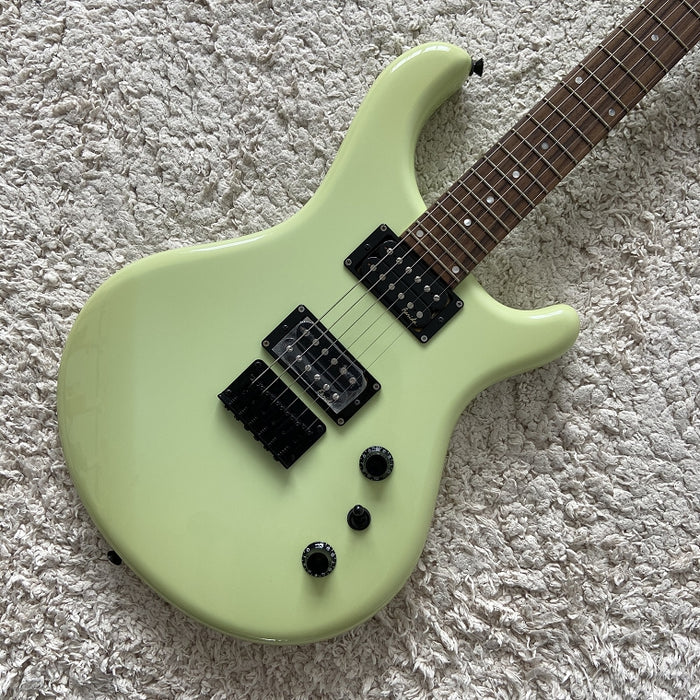 Electric Guitar on Sale (055)