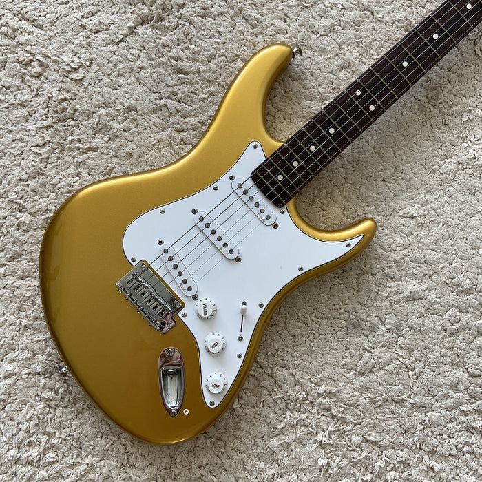 Electric Guitar on Sale (069)