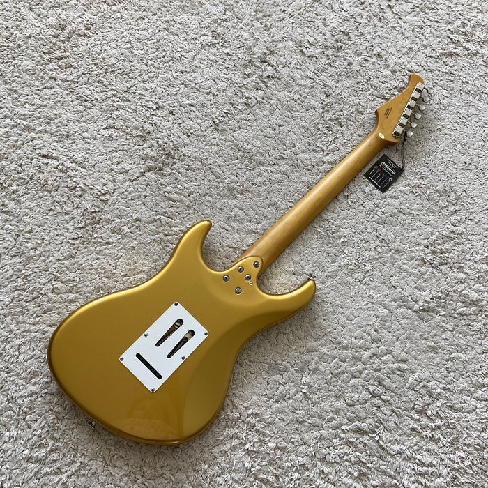 Electric Guitar on Sale (069)