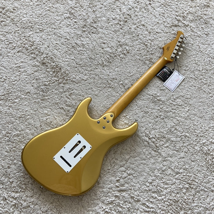 Electric Guitar on Sale (070)