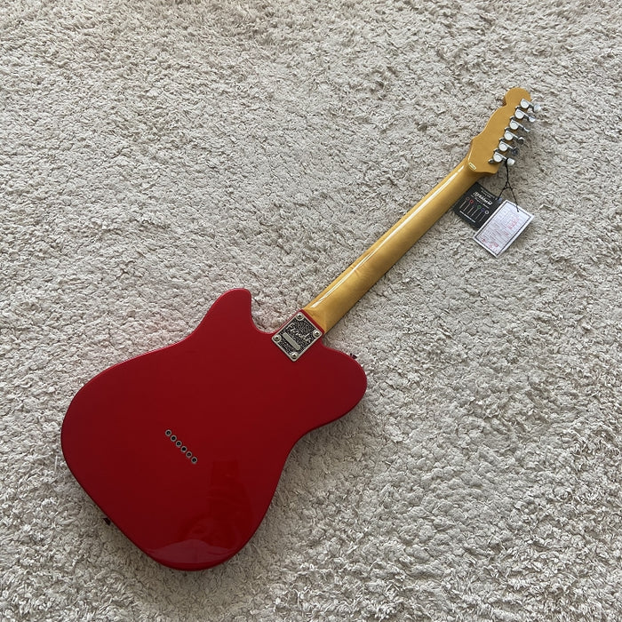 Electric Guitar on Sale (073)