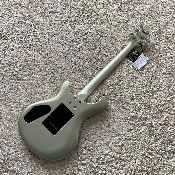 Electric Guitar on Sale (075)