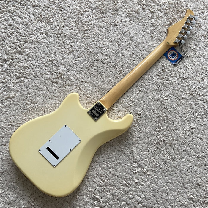 Electric Guitar on Sale (045)