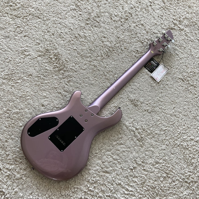 Electric Guitar on Sale (076)