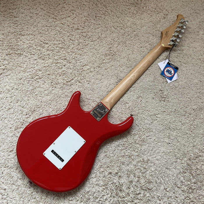 Electric Guitar on Sale (051)