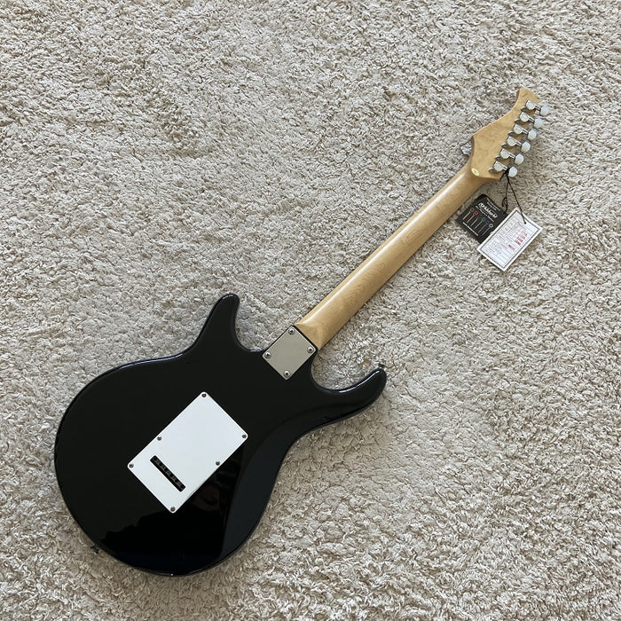 Electric Guitar on Sale (057)