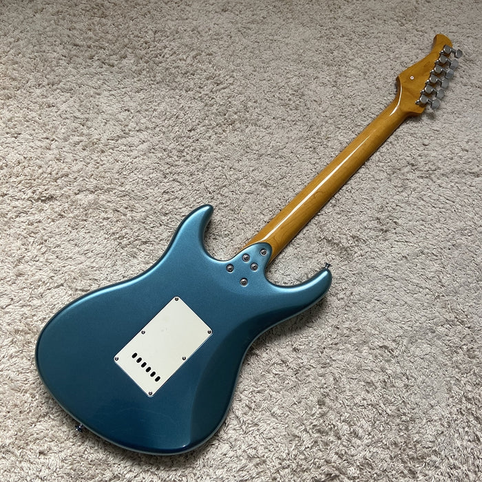 Electric Guitar on Sale (066)