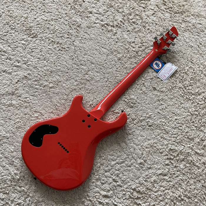 Electric Guitar on Sale (053)