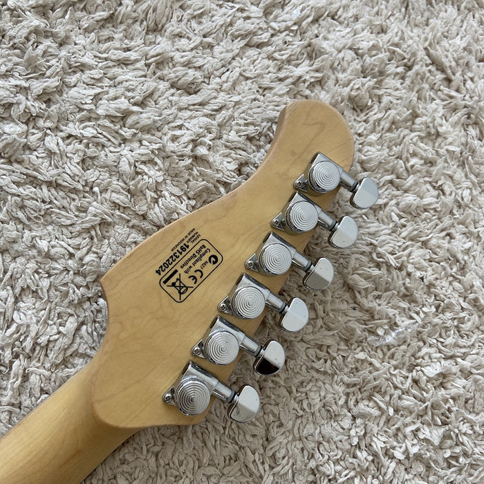 Electric Guitar on Sale (105)