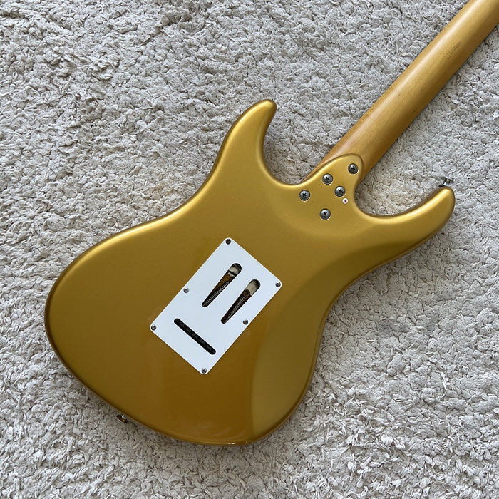 Electric Guitar on Sale (069)