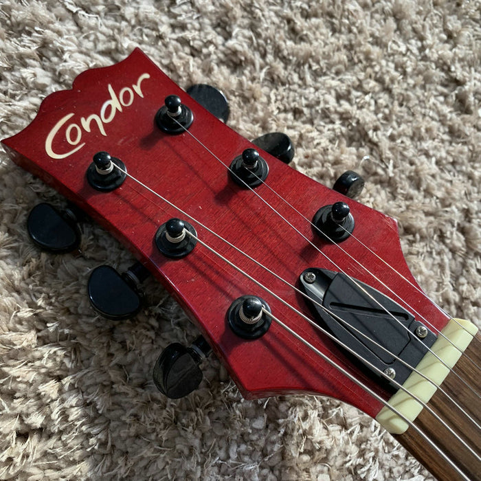 Electric Guitar on Sale (225)