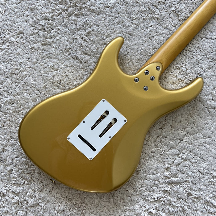 Electric Guitar on Sale (070)