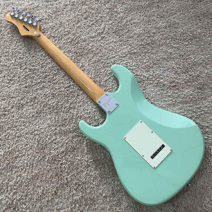 Electric Guitar on Sale (355)