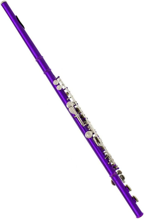 Closed Hole C Flute with Case (002)