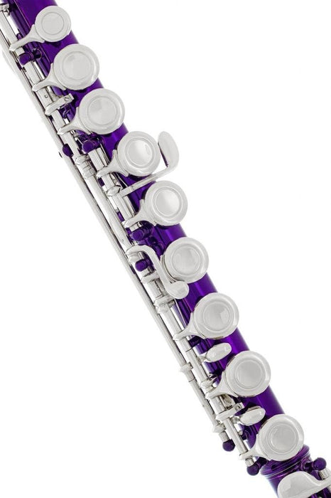 Closed Hole C Flute with Case (002)