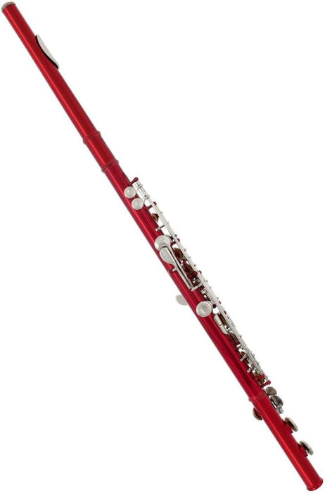 Closed Hole C Flute with Case (002)