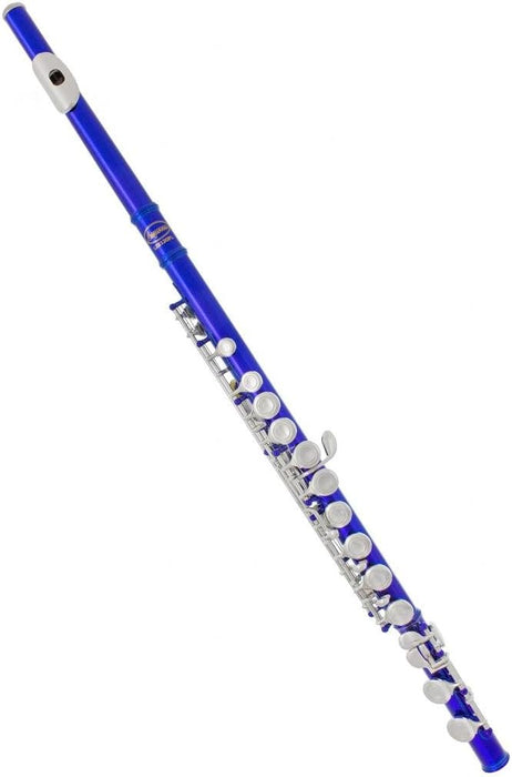 Closed Hole C Flute with Case (002)