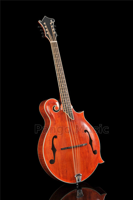 All Top Solid Wood F Mandocello (PMB-903)