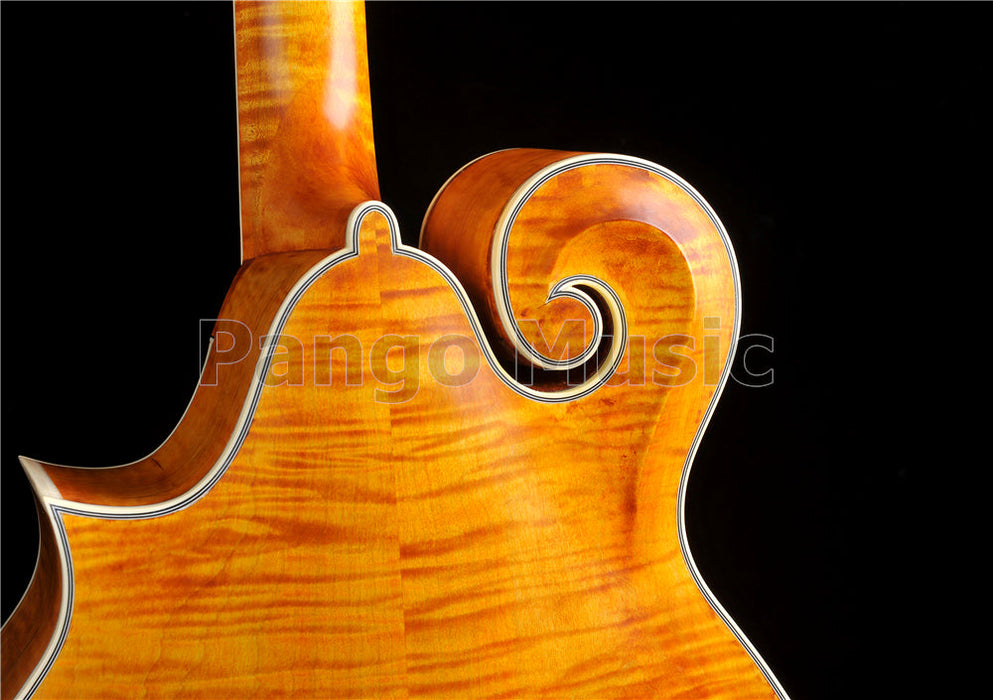 Pango All Top Solid Wood F Mandocello (PMB-902)