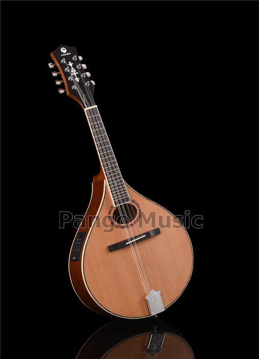 Solid Red Pine Top Bouzouki Mandolin with EQ (PBZ-001)