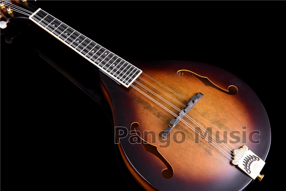 Super 2022 Series All Solid Wood a Mandolin (PMA-630)